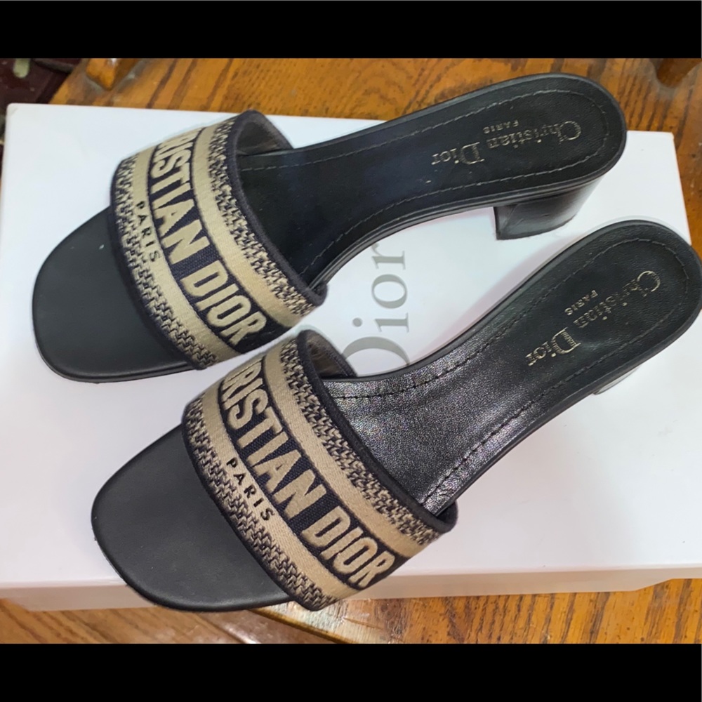 DIOR Dway Heeled Slide Blue  Embroidered Sandal